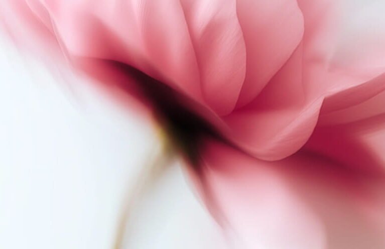 blog4 (1) (1)